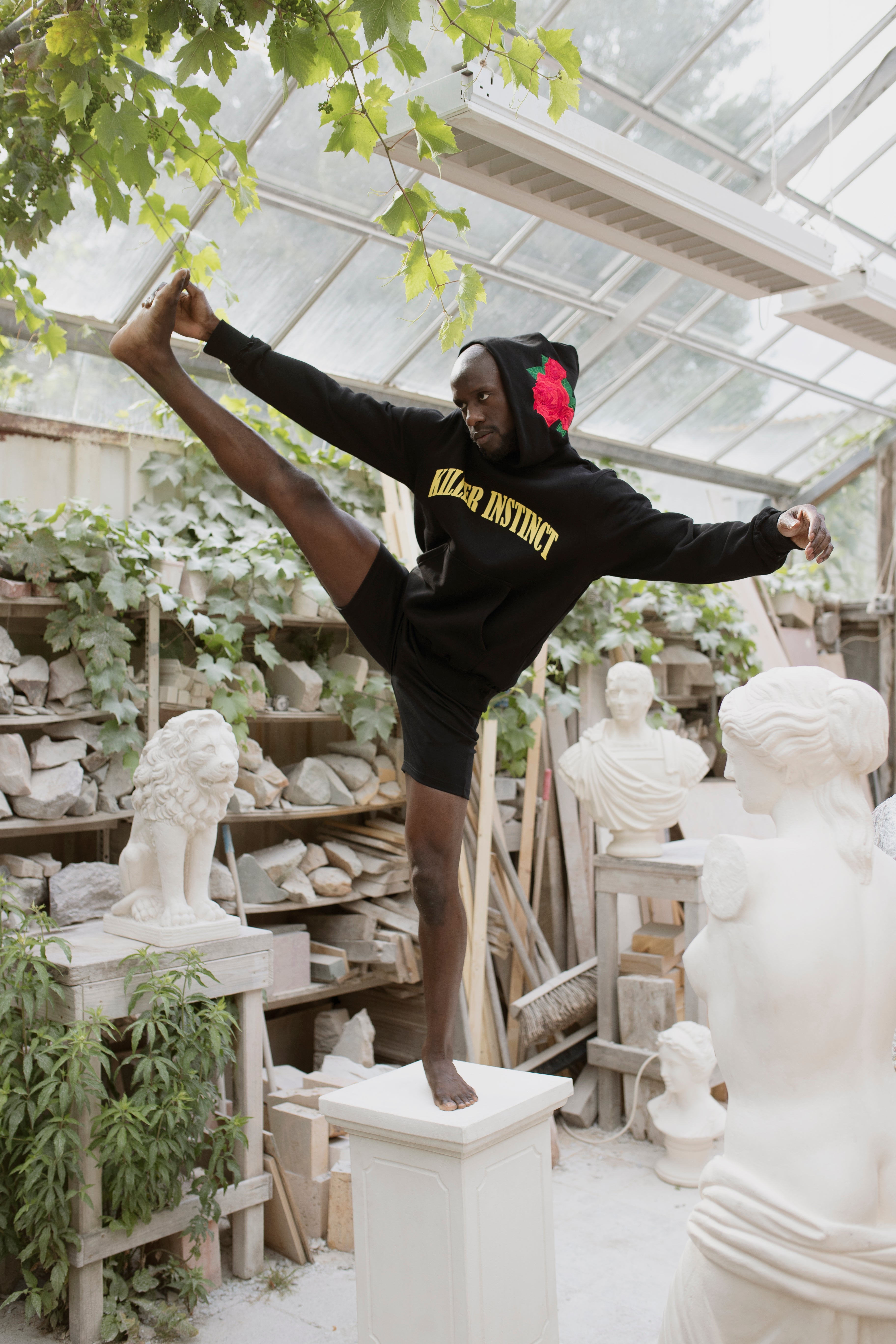 The Killer Instinct - Killer Instinct